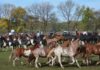 Comienza un ciclo de Turismo Rural