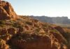 San Luis: Sierra de las Quijadas National Park