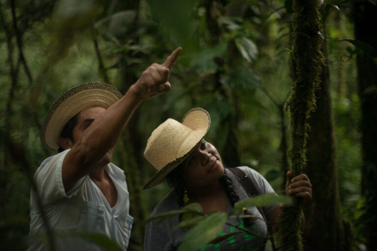 Activan el turismo verde y la conservación en Panamá