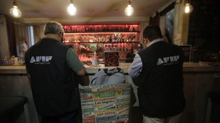 La AFIP llevó adelante más de 9.700 controles durante la temporada de verano