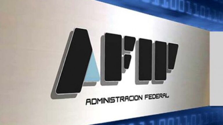 Dólar Turista: La AFIP aumenta a 45% la alícuota para el consumo en viajes y gastos en el exterior