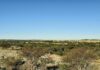 Avanza la creación del Parque Nacional El Caldenal