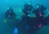 Bucear en el Parque Submarino de Las Grutas ¡tiene sentido!