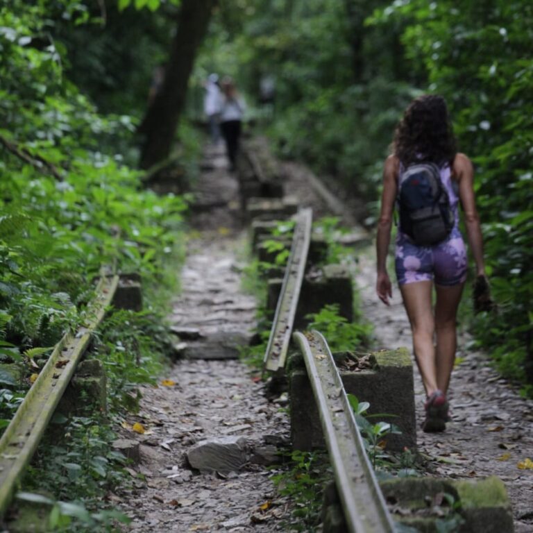 Tucumán: Horco Molle reserve to connect with nature