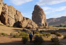 Chubut difunde su amplia oferta de turismo de naturaleza y conservación en uno de los eventos más importantes del país