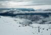 Premio a Cerro Catedral y promoción turística: Cortés y Guzmán impulsan a Bariloche en Brasil