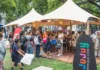 Jujuy tuvo fuerte presencia en la Fiesta Nacional de la Vendimia