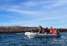 Chubut avanza en el Plan de Manejo del Parque Provincial Patagonia Azul