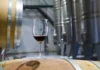Neuquén celebra el Día Mundial del Malbec con propuestas en toda la provincia