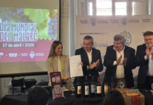 Día del Malbec: Tucumán celebró a su cepa insignia con anuncios clave para la Ruta del Vino