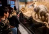 El mes de mayo en el Museo Scaglia de Mar del Plata
