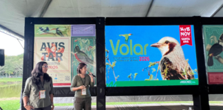 Misiones llevó su modelo de turismo de naturaleza a la Feria Avistar Brasil 2026
