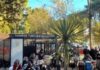 Mar de las Pampas celebró su postulación a los Best Tourism Villages