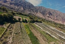 Nueva herramienta para impulsar el desarrollo turístico de los pueblos rurales