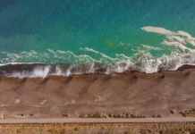 Río Negro pone en valor su patrimonio marino en el Día Mundial de los Océanos