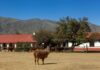 Tafí del Valle, la joya tucumana que compite como mejor pueblo turístico del mundo