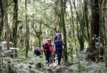 Tucumán renueva su agenda de experiencias para disfrutar durante el fin de semana