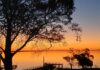 El invierno tiene su mejor pique en las lagunas bonaerenses