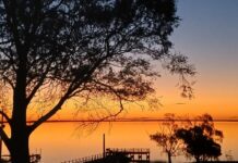 El invierno tiene su mejor pique en las lagunas bonaerenses
