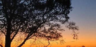 El invierno tiene su mejor pique en las lagunas bonaerenses