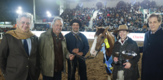 Scioli firmó un convenio para promocionar al caballo criollo en los parques nacionales como experiencia turística