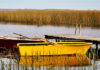 Tres días de viaje por Buenos Aires entre lagunas, termas y leyendas