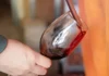 Neuquén impulsa al Pinot Noir como cepa de la provincia a través de un proyecto de ley