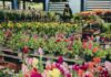 Calendario de eventos turísticos de la Provincia de Buenos Aires, del 1 al 8 de octubre