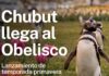 Chubut promocionará sus atractivos turísticos en Buenos Aires con un mapping sobre el Obelisco
