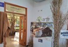 Agenda de arte y cultura: variadas actividades para recorrer La Pampa