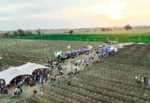 Primavera entre vides: el encanto de los vinos pampeanos se celebró en Trenel