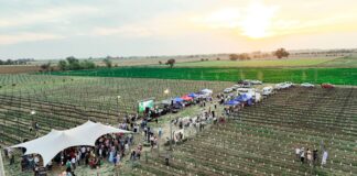 Primavera entre vides: el encanto de los vinos pampeanos se celebró en Trenel