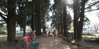 Avanza la renovación integral del Parque Saavedra en La Plata