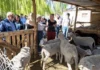 Neuquén dio otro paso fundamental en el desarrollo del agroturismo