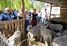 Neuquén dio otro paso fundamental en el desarrollo del agroturismo