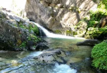 Chañy, un tesoro natural y cultural protegido en Neuquén