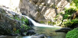 Chañy, un tesoro natural y cultural protegido en Neuquén