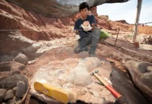 Neuquén y su ruta hacia el Cretácico