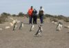 Fin de semana largo en Chubut: más de 24 mil turistas y un impacto económico de casi 11.000 millones de pesos