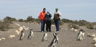 Fin de semana largo en Chubut: más de 24 mil turistas y un impacto económico de casi 11.000 millones de pesos