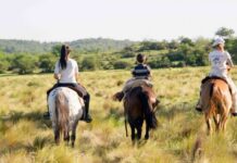 Más de 40 propuestas invitan a descubrir Córdoba a caballo durante el mes del turismo ecuestre