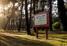 El Senado bonaerense aprobó la cesión del Pinar del Norte y el Anfiteatro de Villa Gesell al municipio
