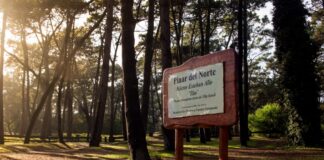 El Senado bonaerense aprobó la cesión del Pinar del Norte y el Anfiteatro de Villa Gesell al municipio