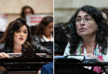 Las diputadas Ianni y Selva piden explicaciones por el avance de un negocio privado sobre cuatro parques nacionales