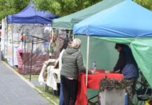 Fiestas populares, arte circense, artesanías y muestras en la Agenda Cultural pampeana