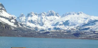 Epu Lauquen, un refugio de bosques únicos y fauna de los Andes neuquinos