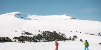Villa Pehuenia-Moquehue cerró el invierno con el mejor desempeño entre los destinos de nieve