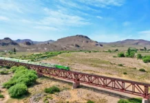 Tren Patagónico habilitó la venta de pasajes para noviembre y diciembre