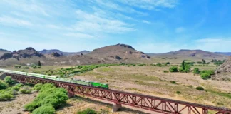 Tren Patagónico habilitó la venta de pasajes para noviembre y diciembre