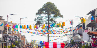 Villa Gesell se prepara para vivir la 45.ª Fiesta Nacional de la Diversidad Cultural con una agenda imperdible y el nuevo «Camino de la Paella»